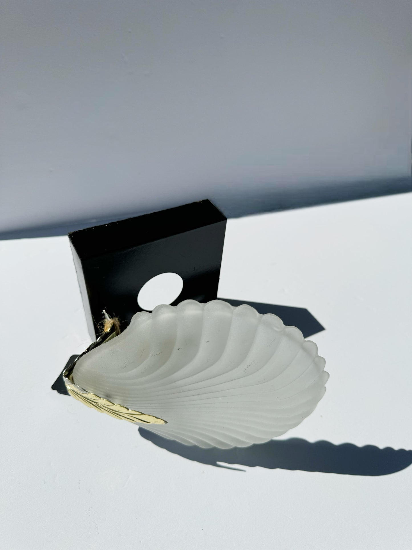 Shell Wall Sconce