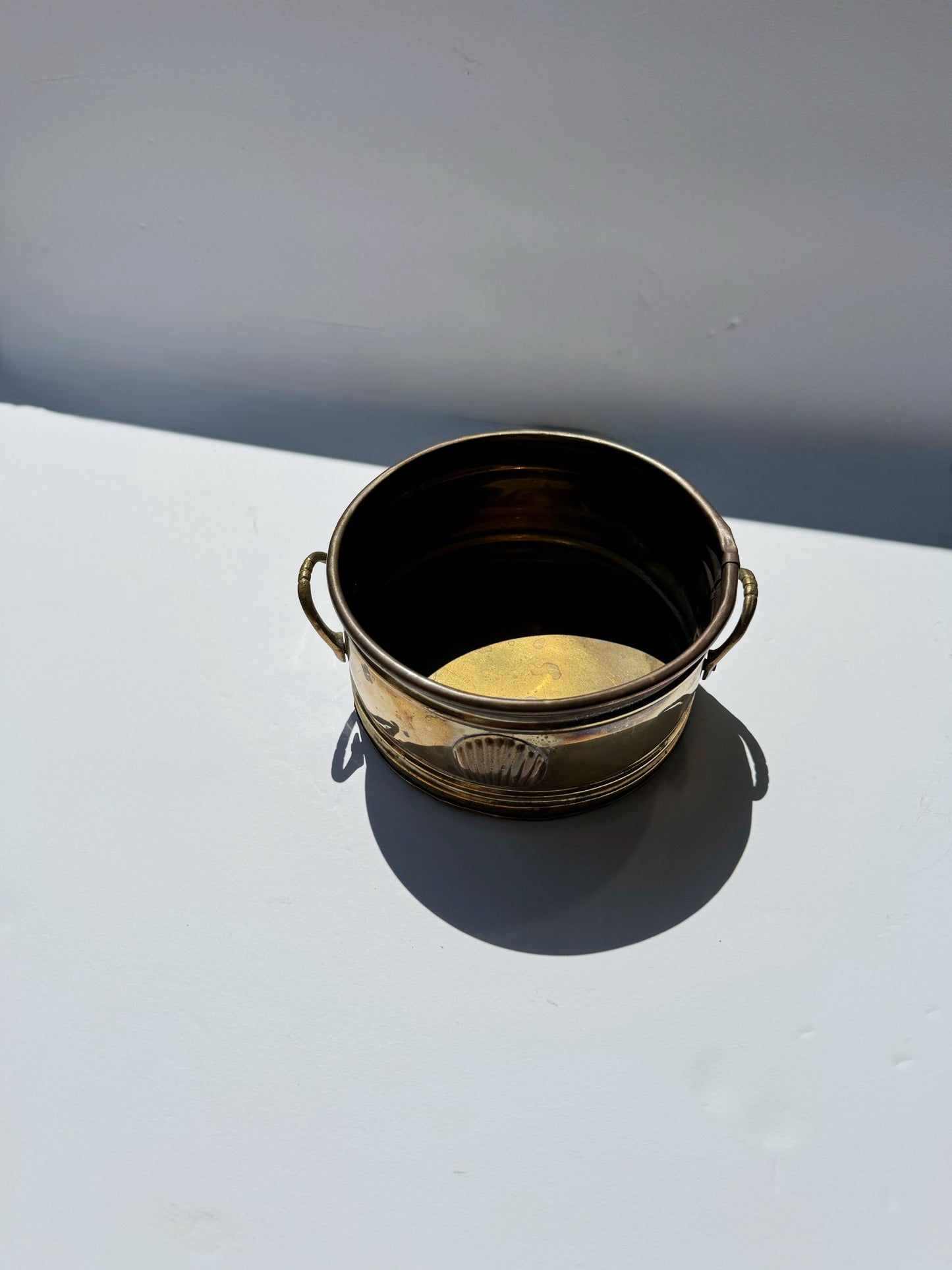 Petite Shell Planter