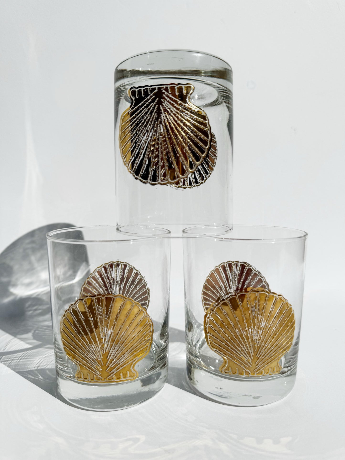 Glass Shell Glassware