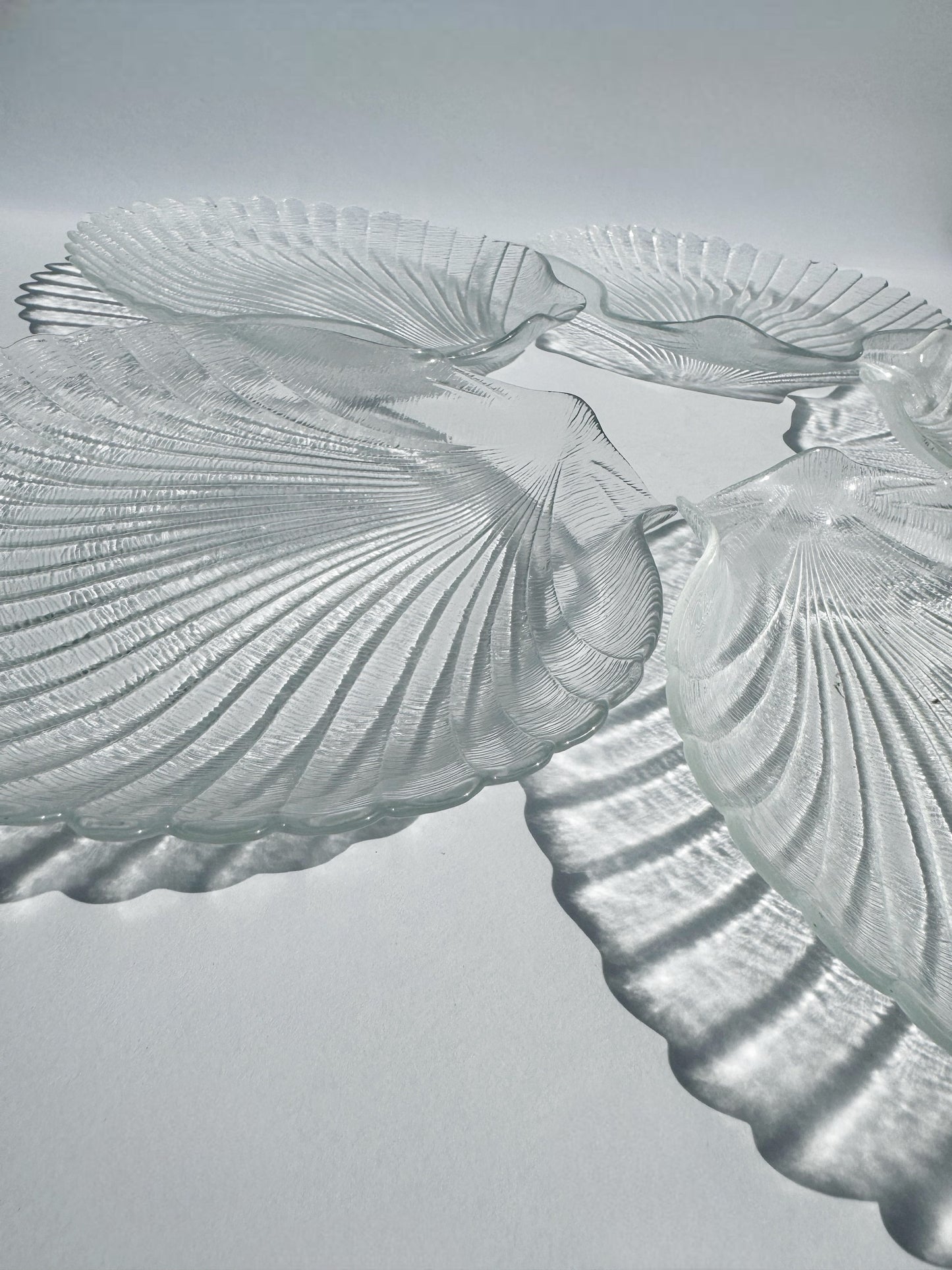 Seashell Salad Plates