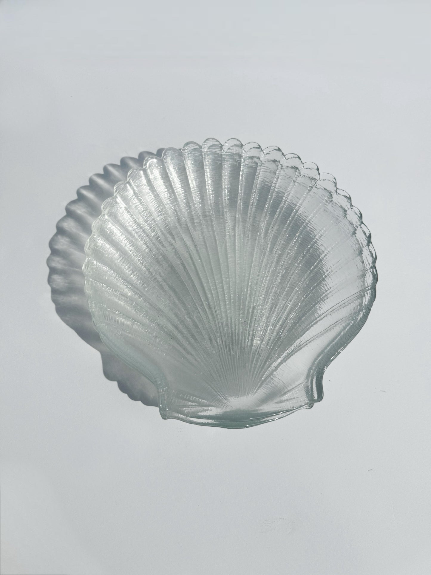 Seashell Salad Plates