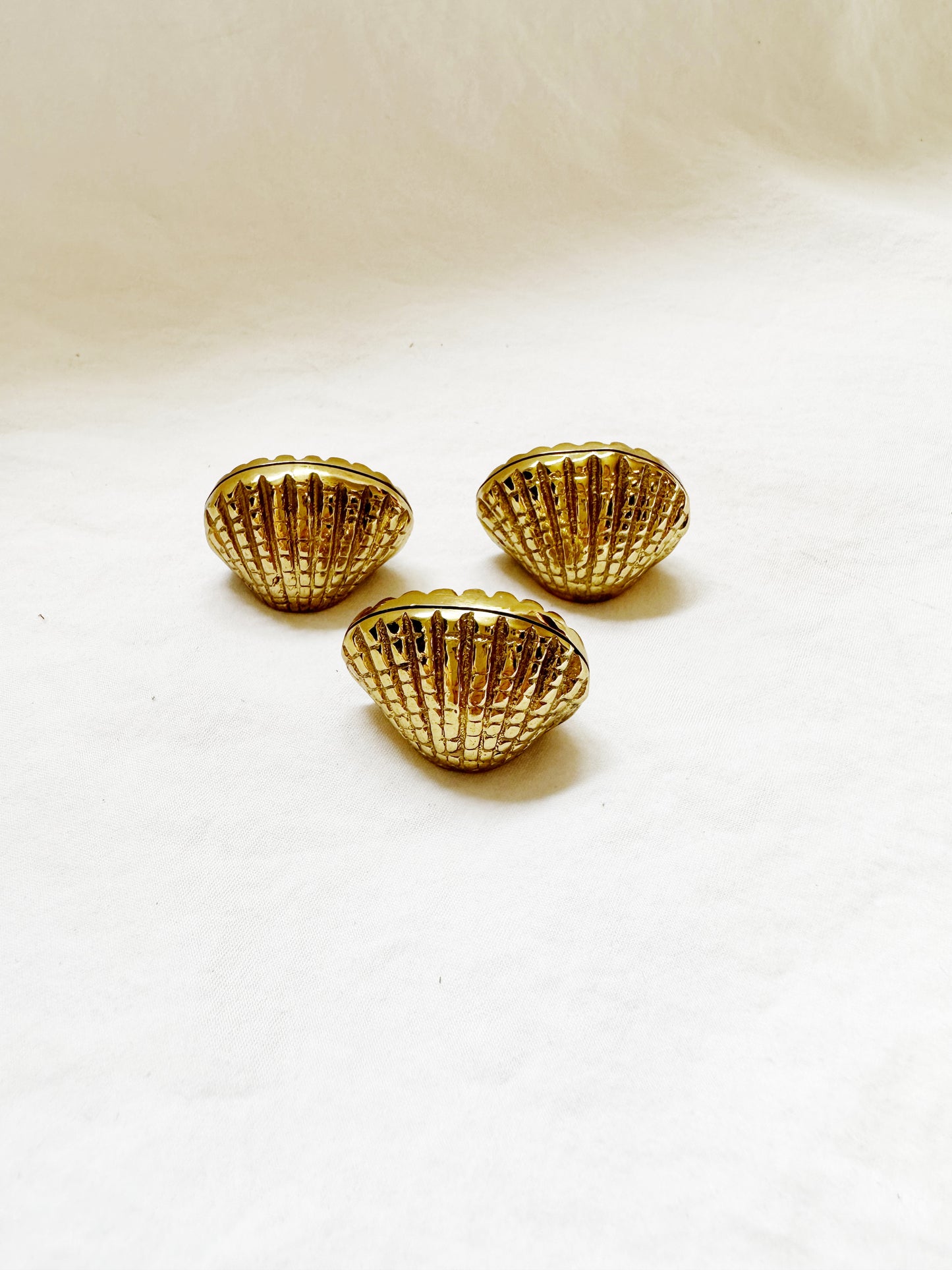 Brass Shell Paperweights
