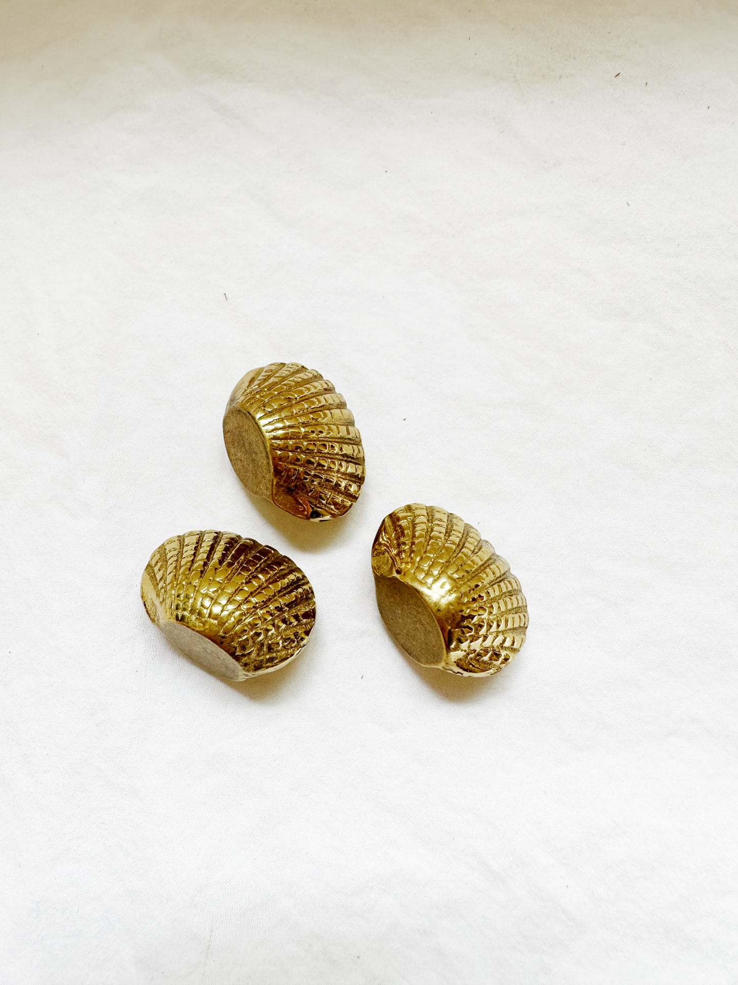 Brass Shell Paperweights