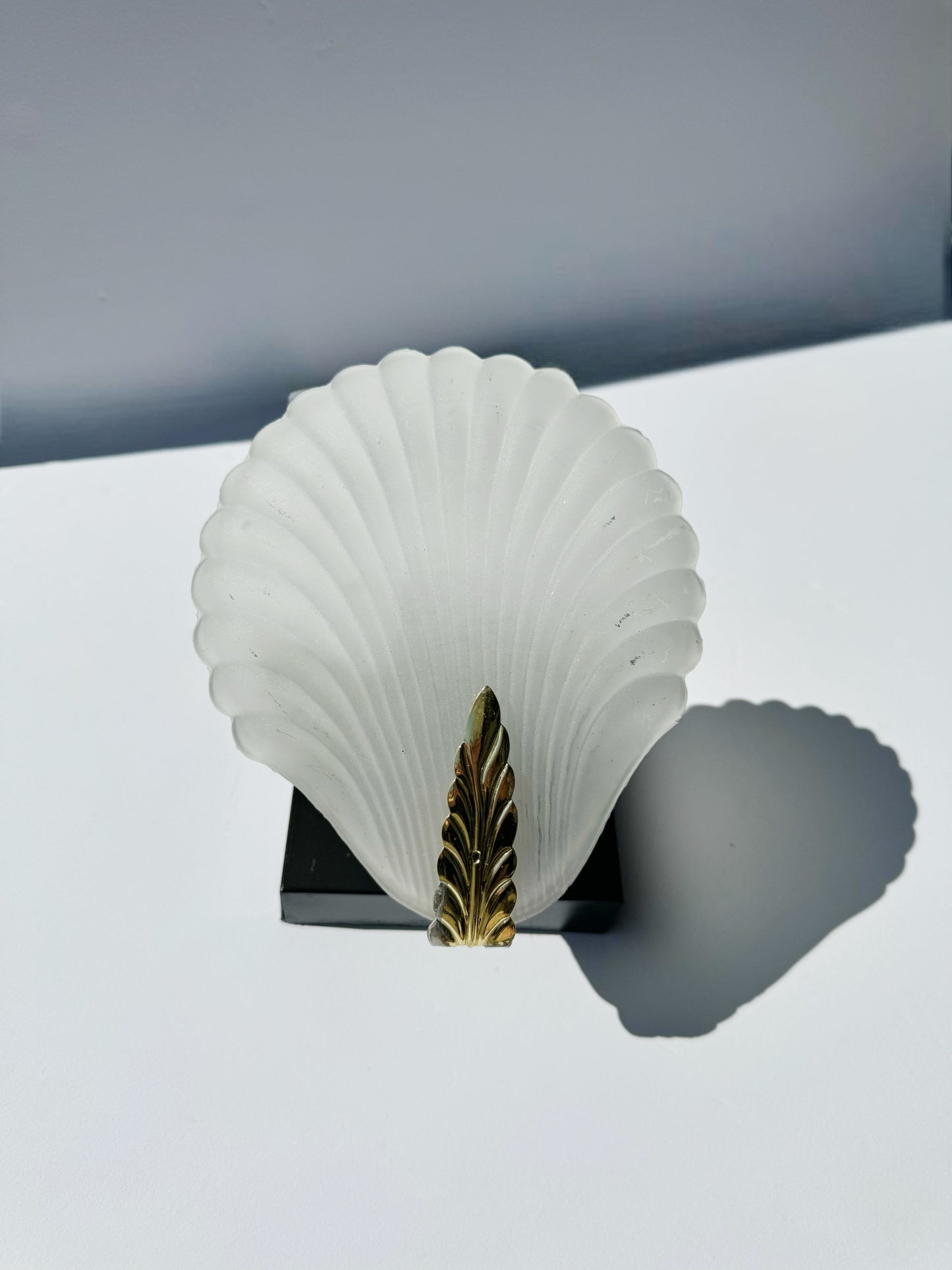Shell Wall Sconce
