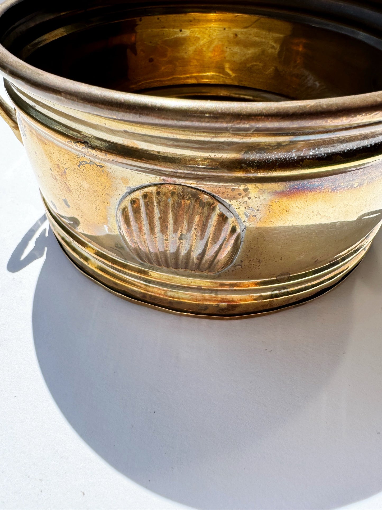 Petite Shell Planter