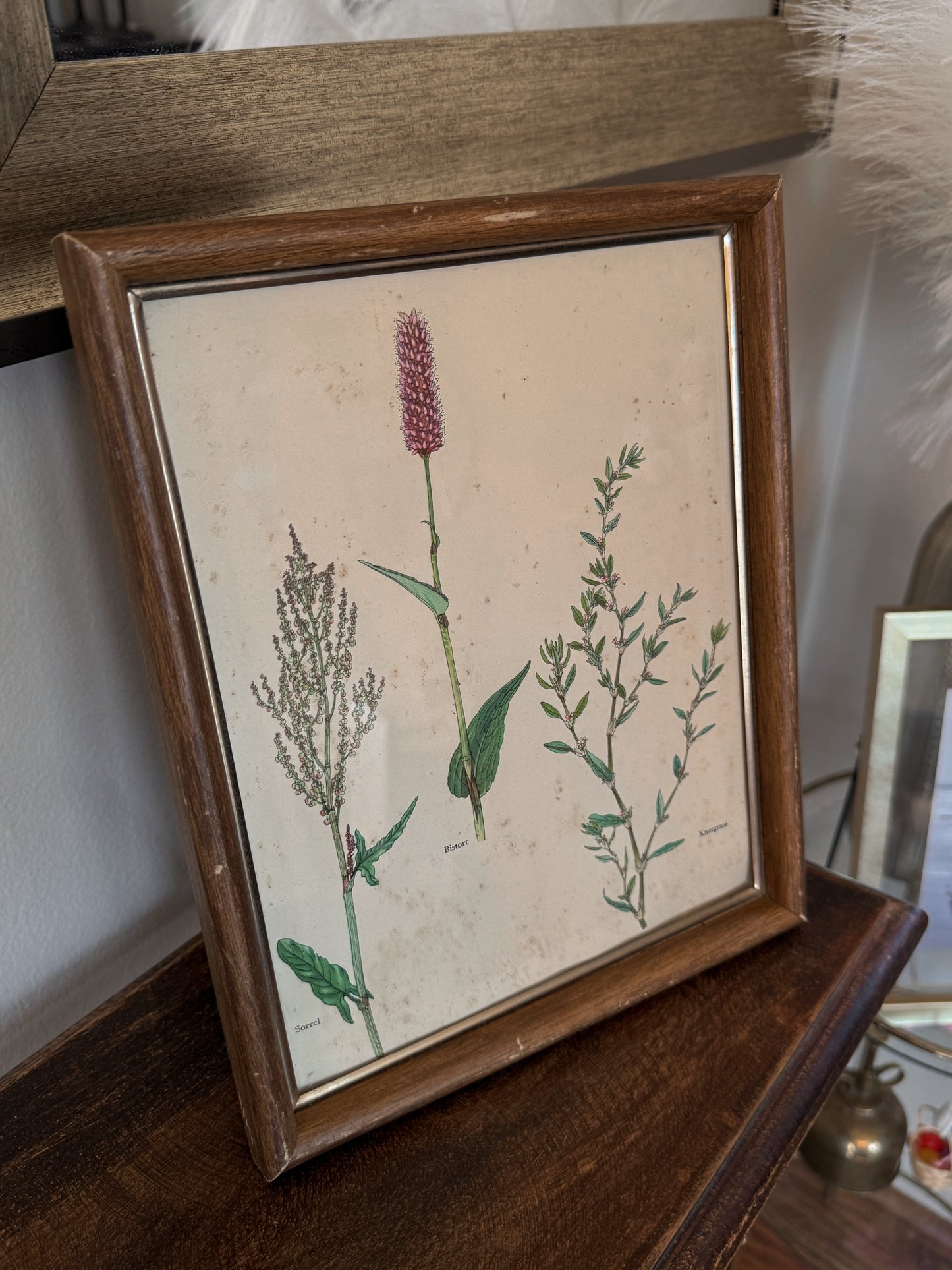Floral Artwork