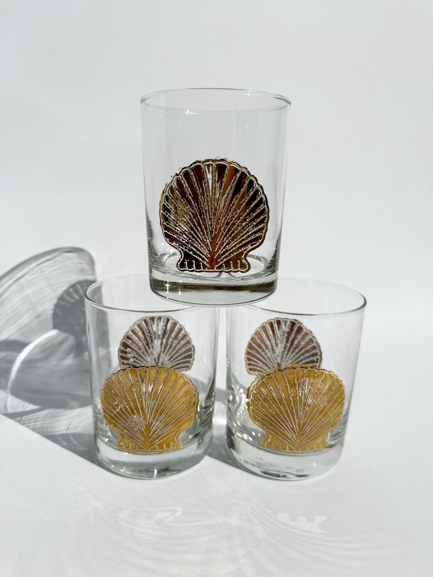 Glass Shell Glassware