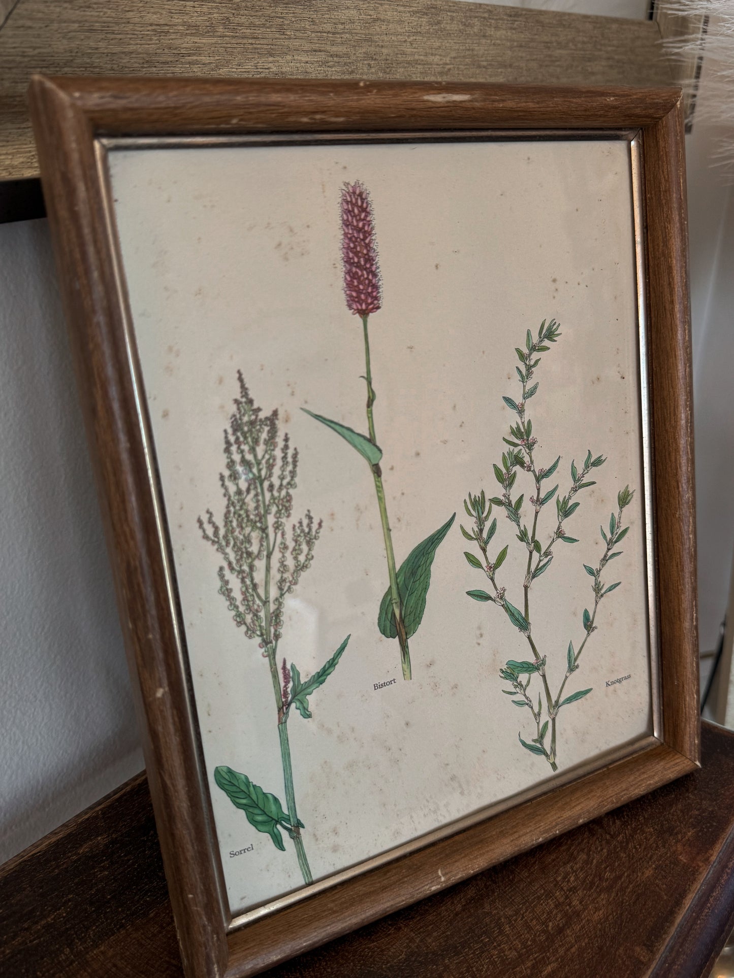 Floral Artwork