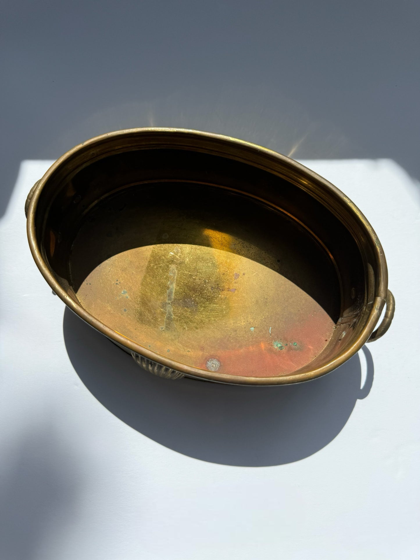 Brass Shell Planter