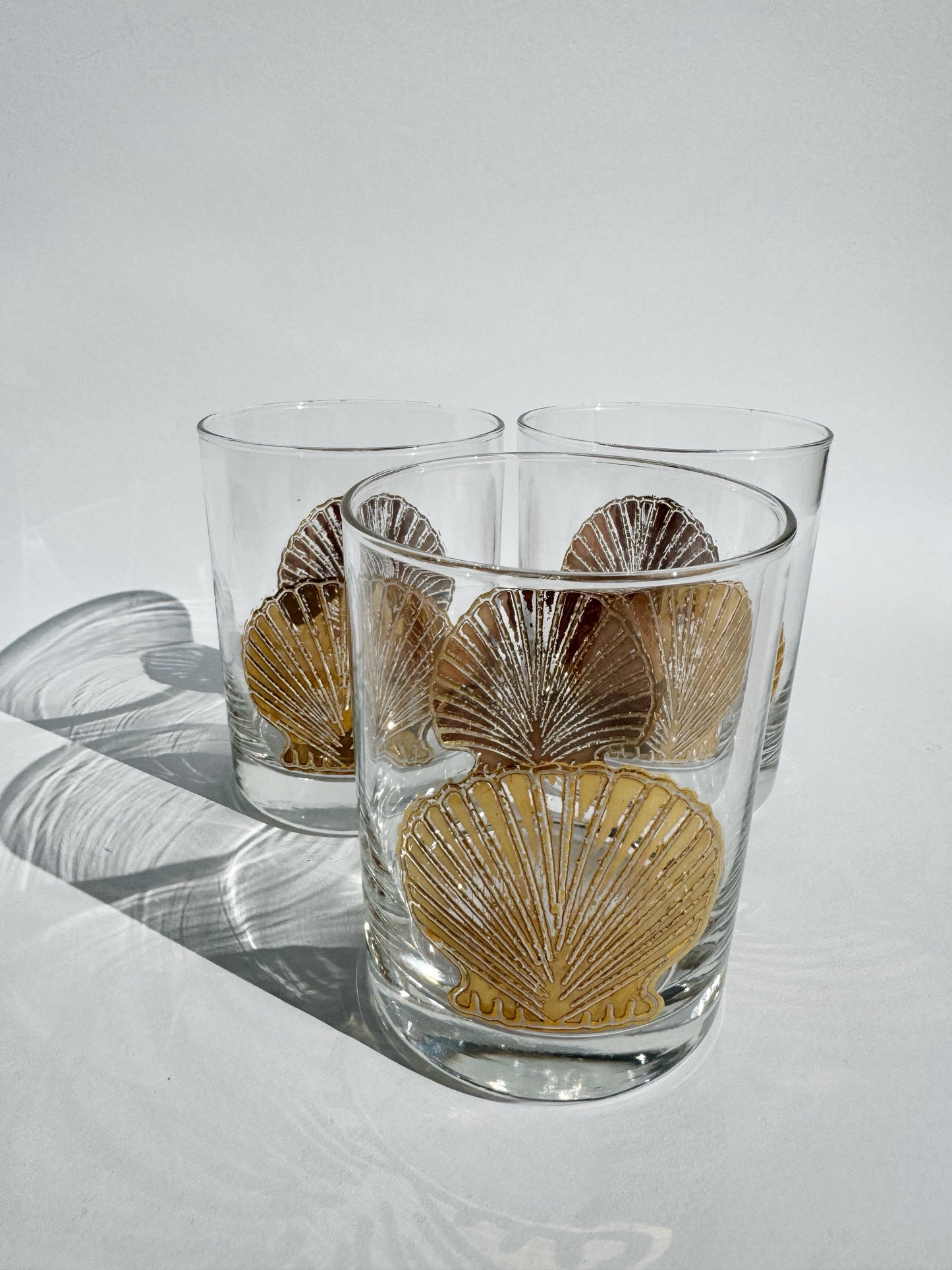 Glass Shell Glassware