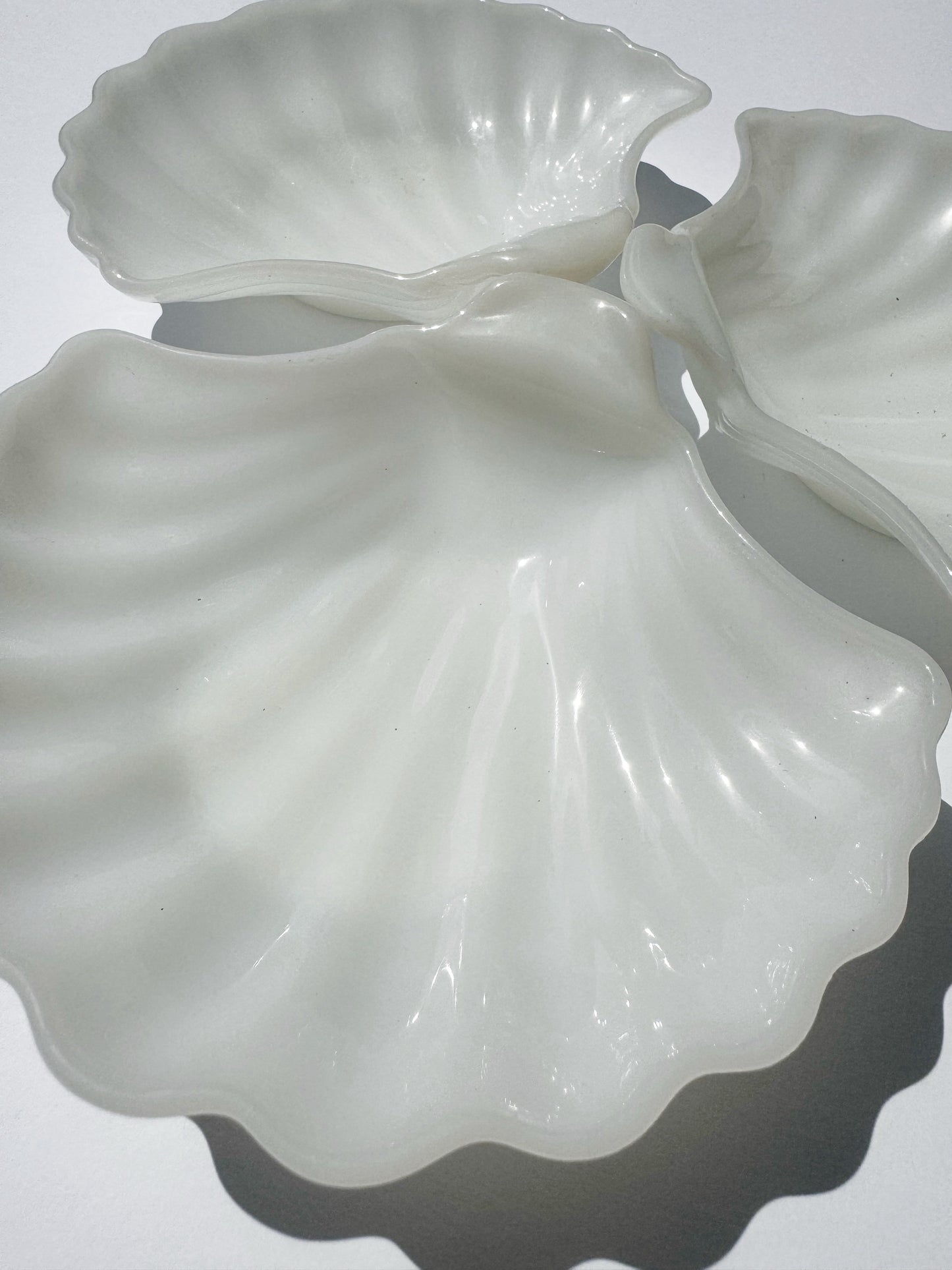 Shell Dish Set