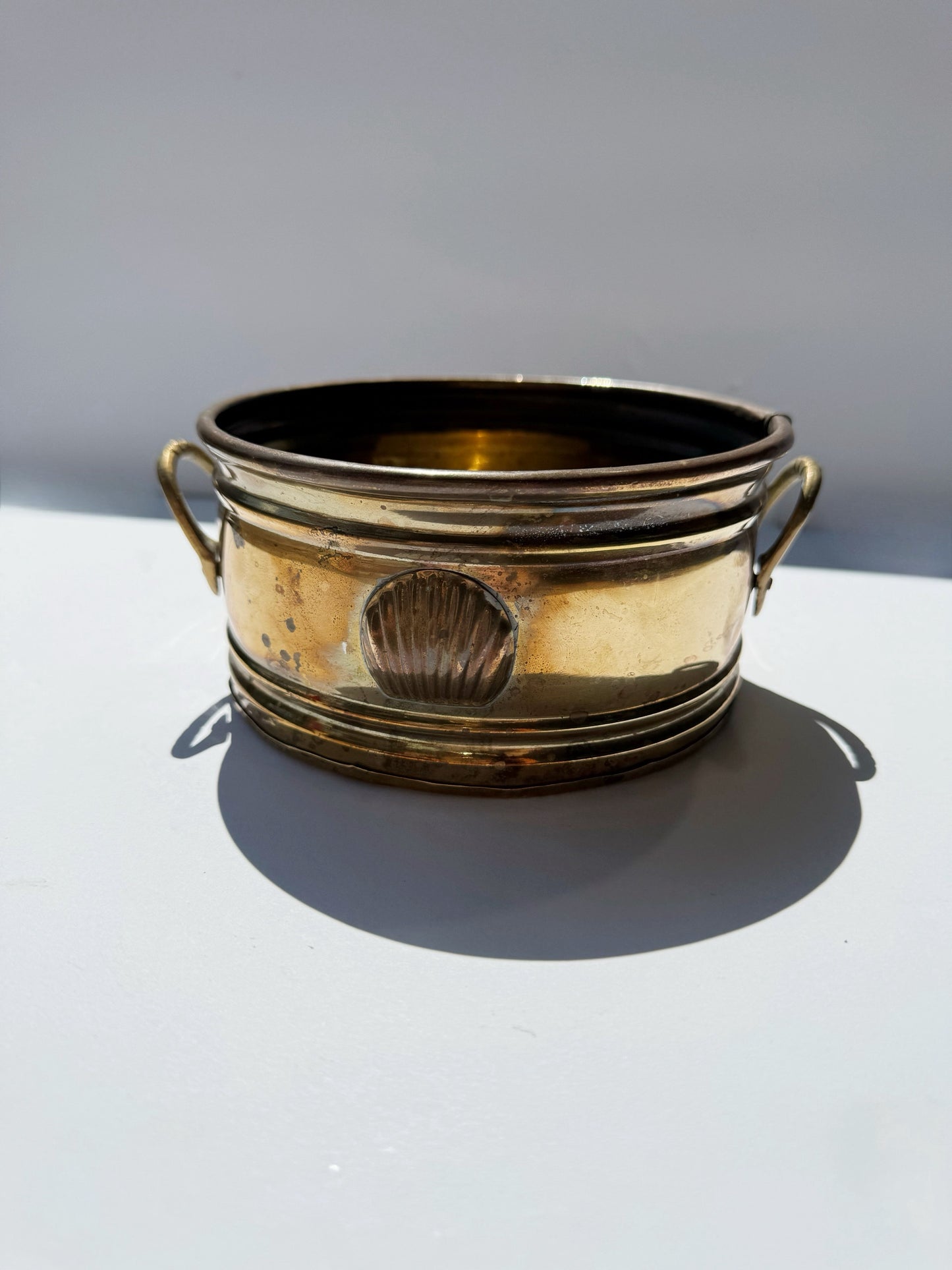 Petite Shell Planter