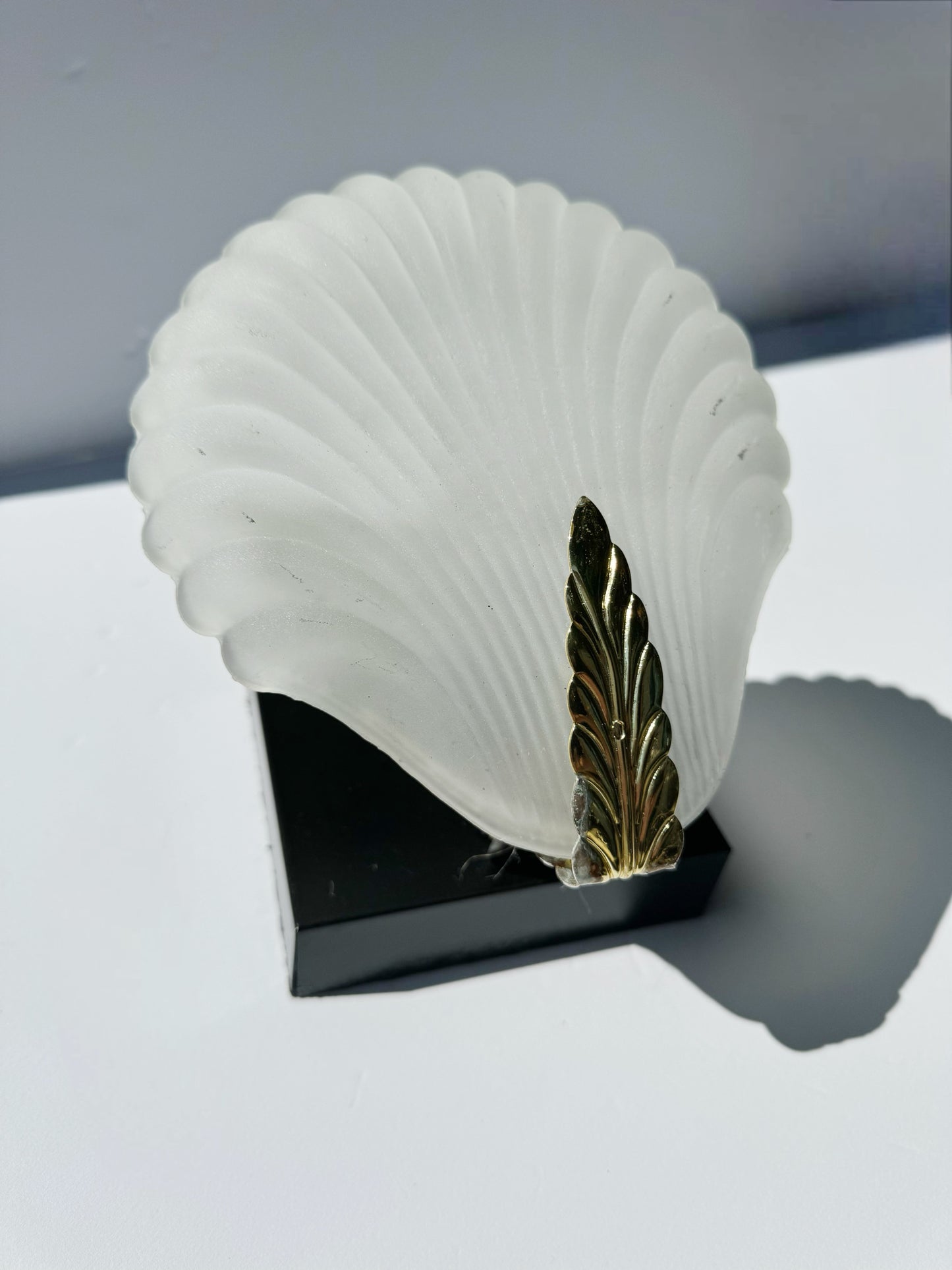 Shell Wall Sconce