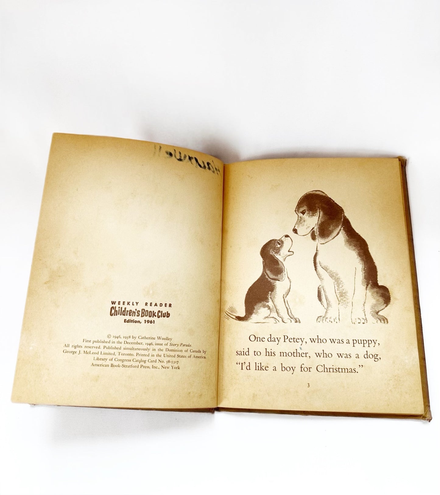 The Puppy Who Wanted a Boy Children's Book