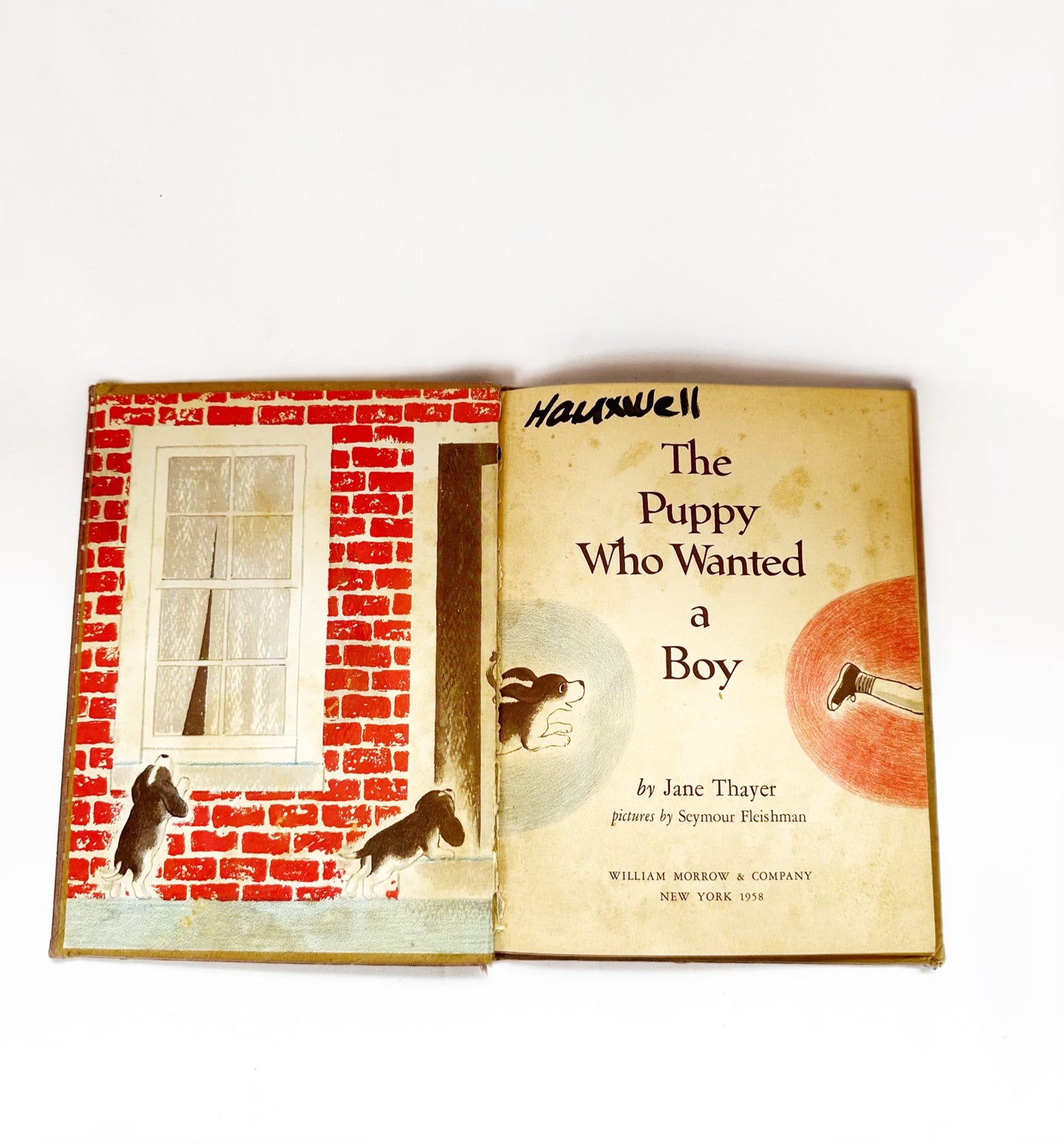 The Puppy Who Wanted a Boy Children's Book