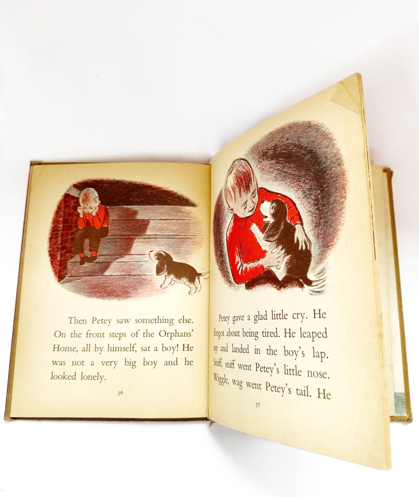 The Puppy Who Wanted a Boy Children's Book