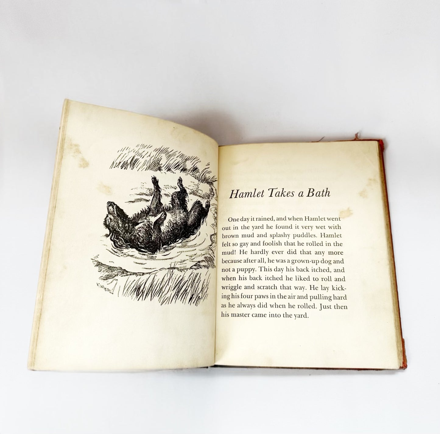 Hamlet A Cocker Spaniel Children's Book