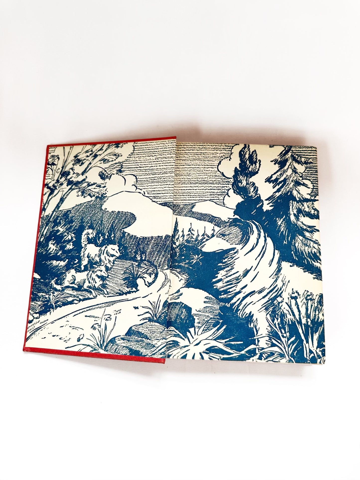 My Friend the Dog Book