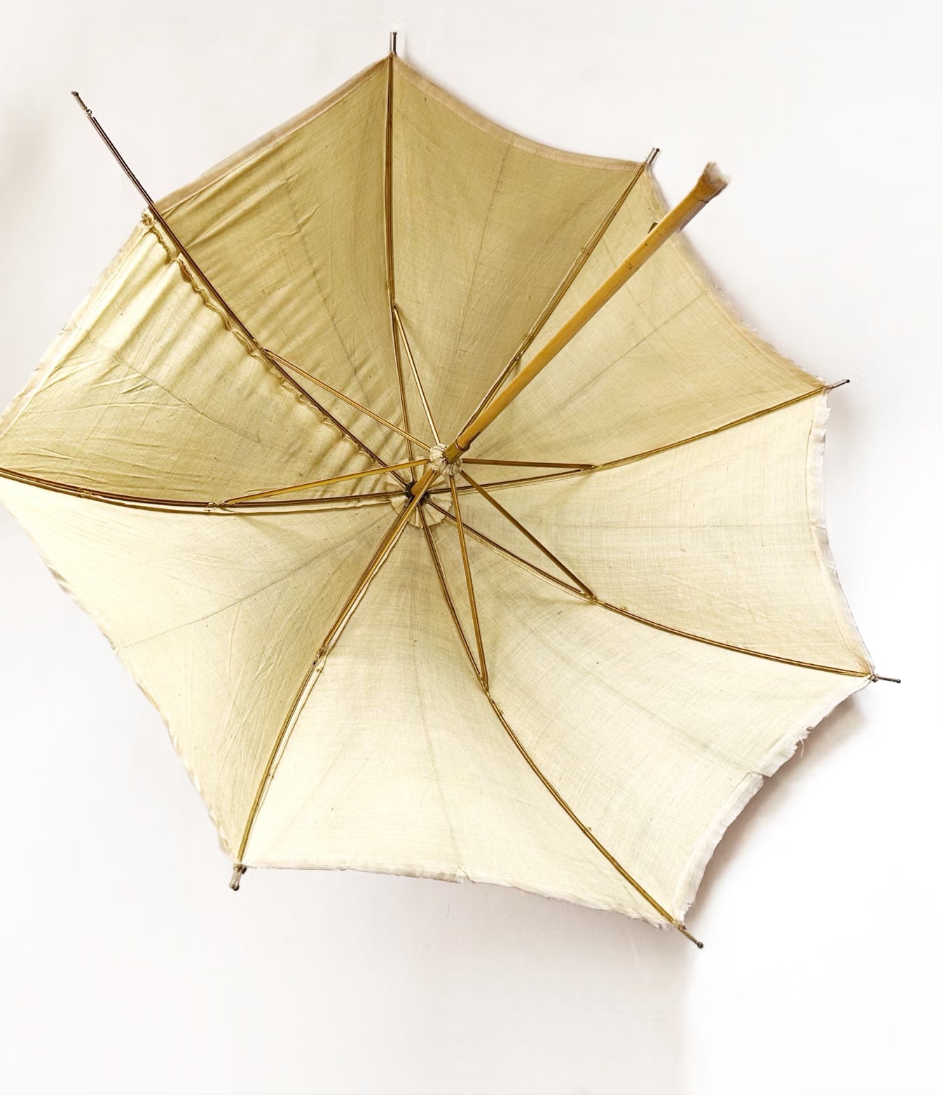 Victorian Umbrella