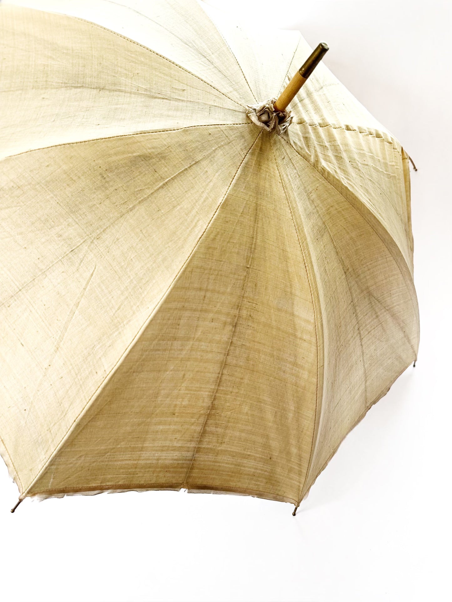 Victorian Umbrella
