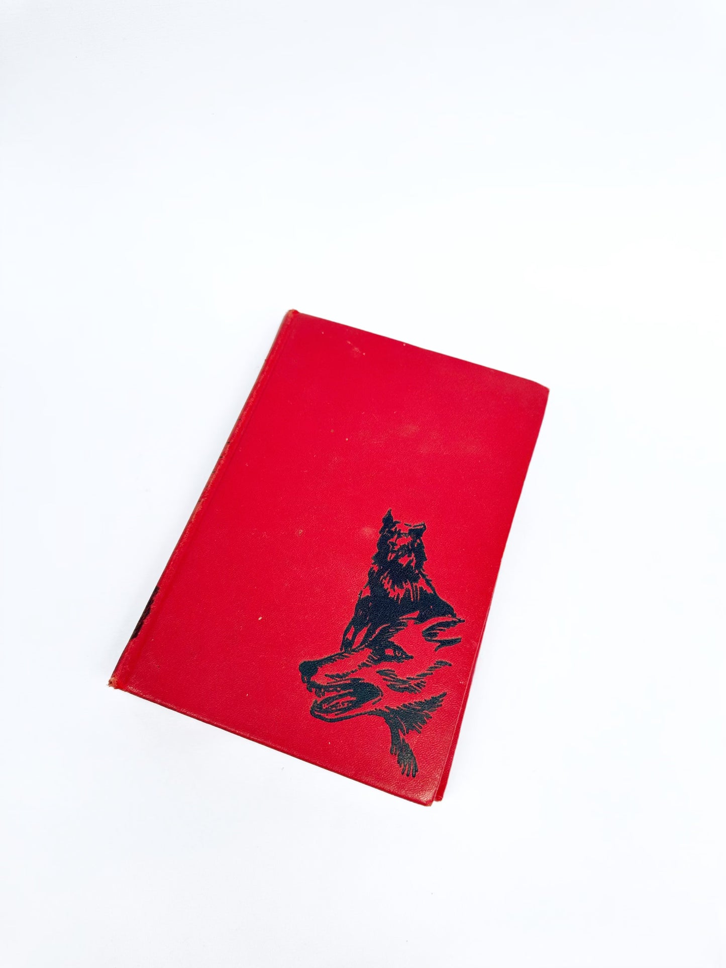 Wild Dogs of Drowning Creek Book