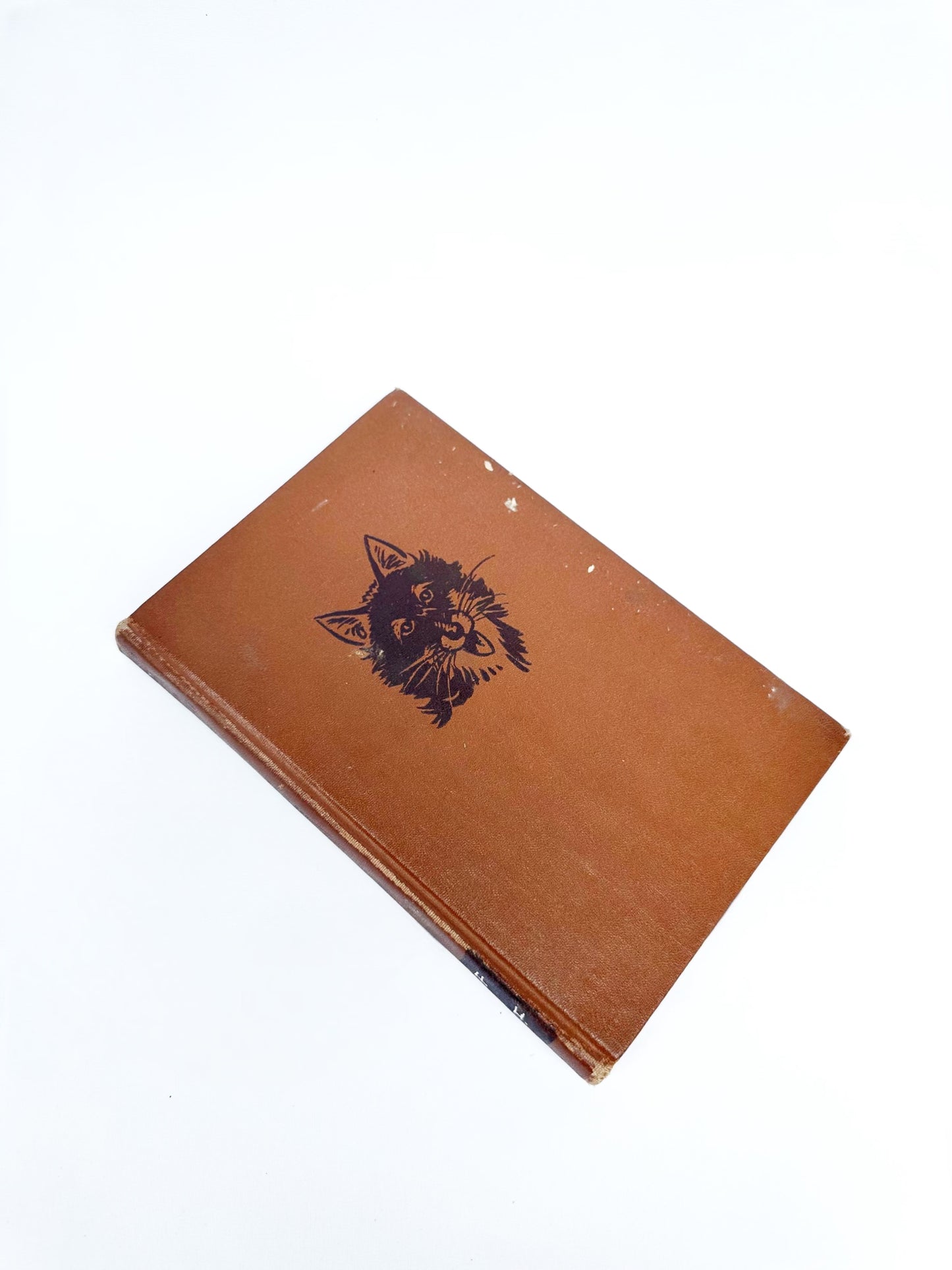 Little Fox Book