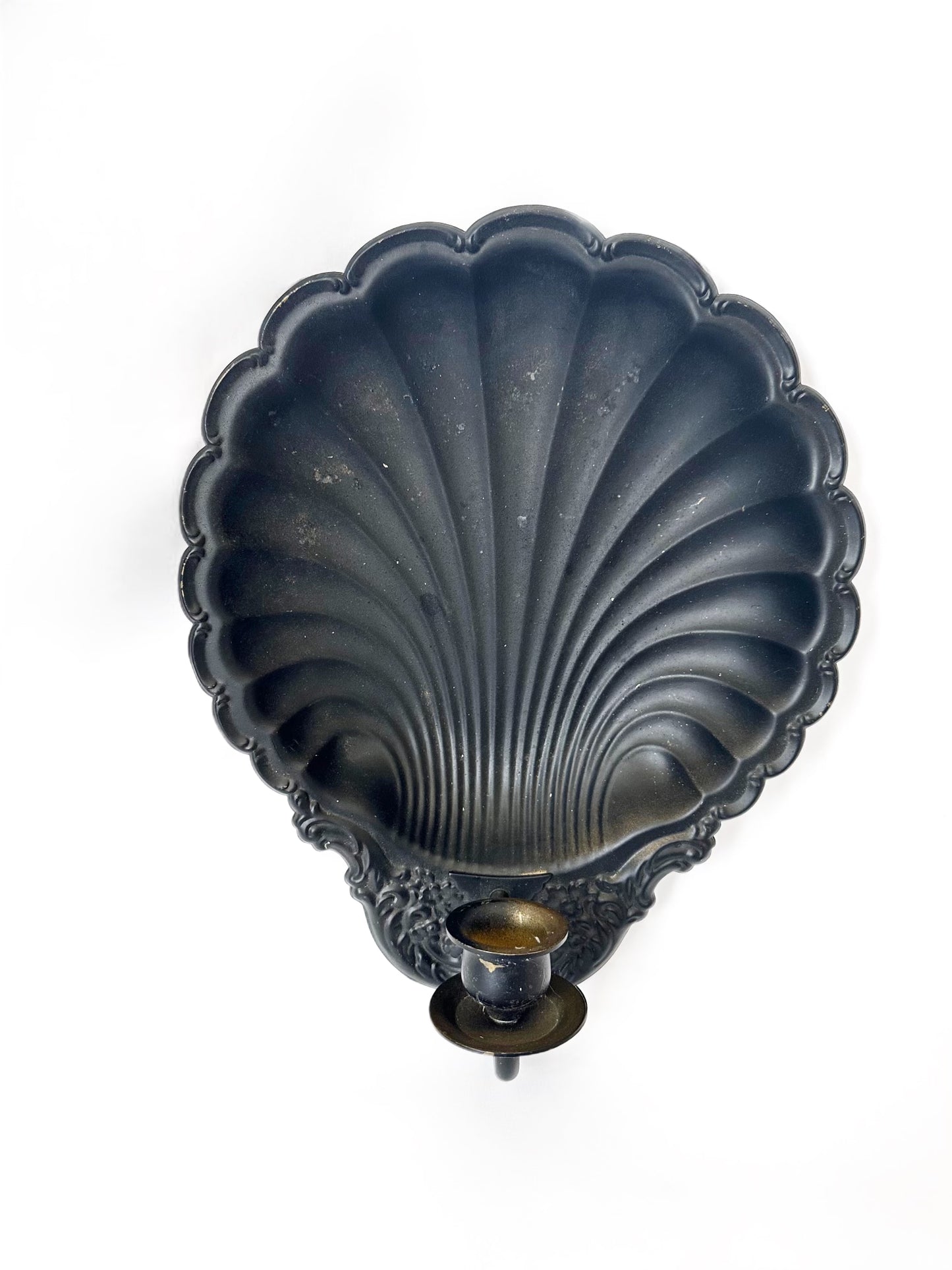 Shell Wall Sconce