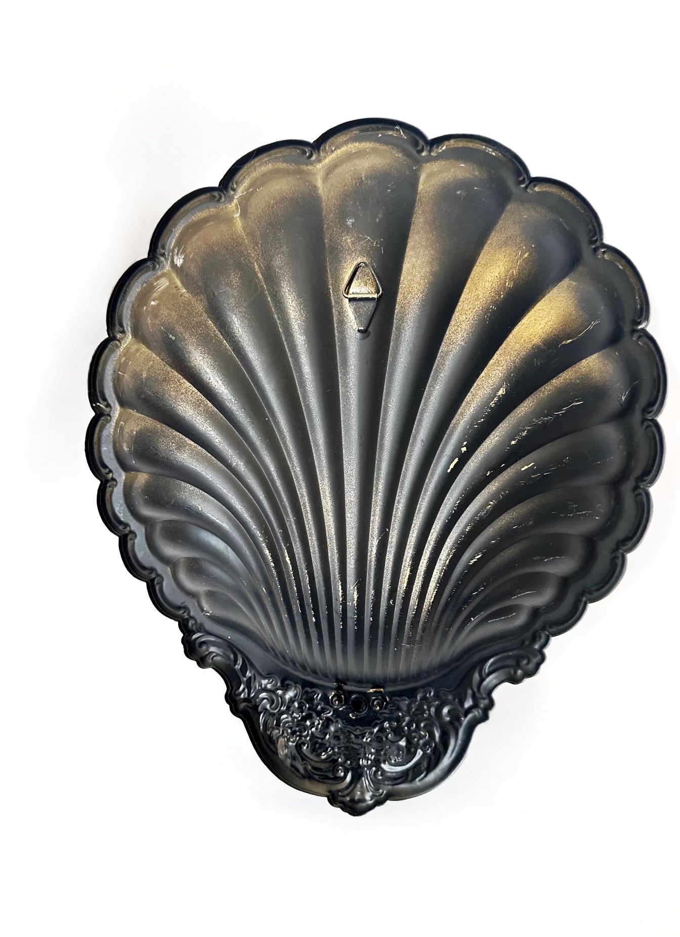 Shell Wall Sconce