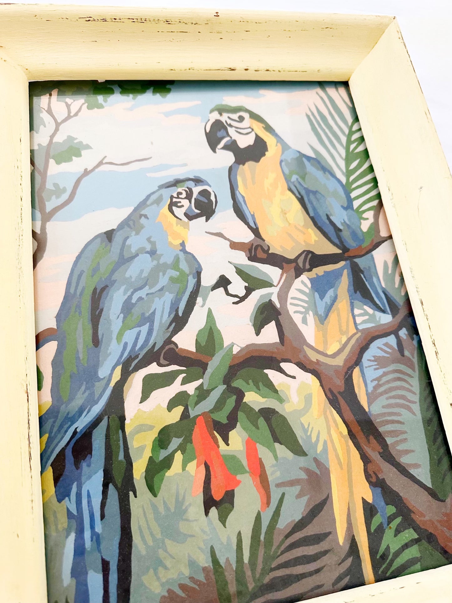 Original Parrot Painting