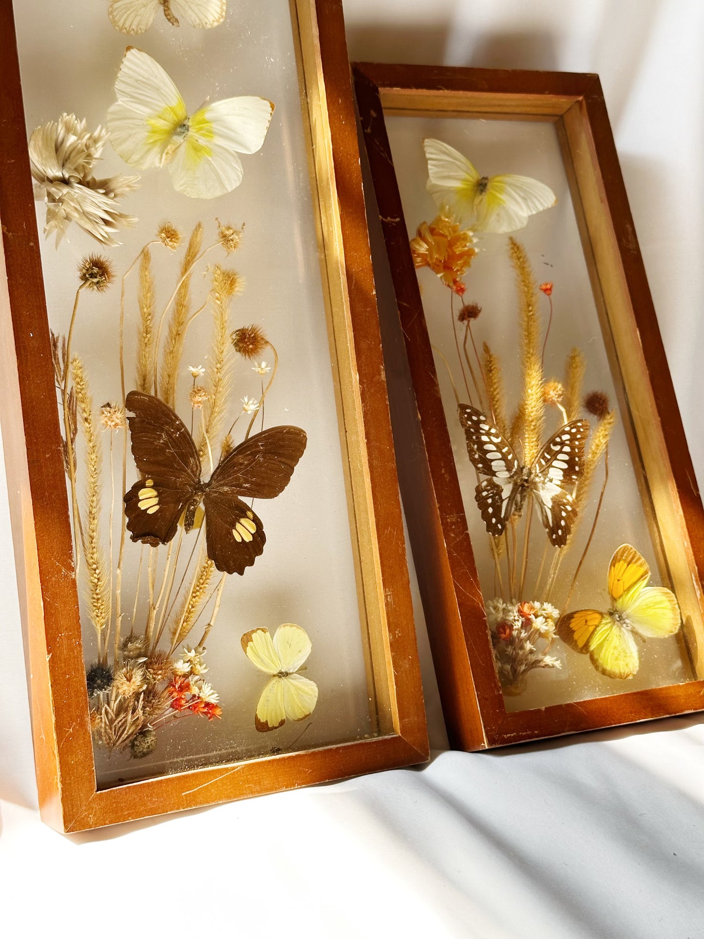 Pressed Butterfly Artwork