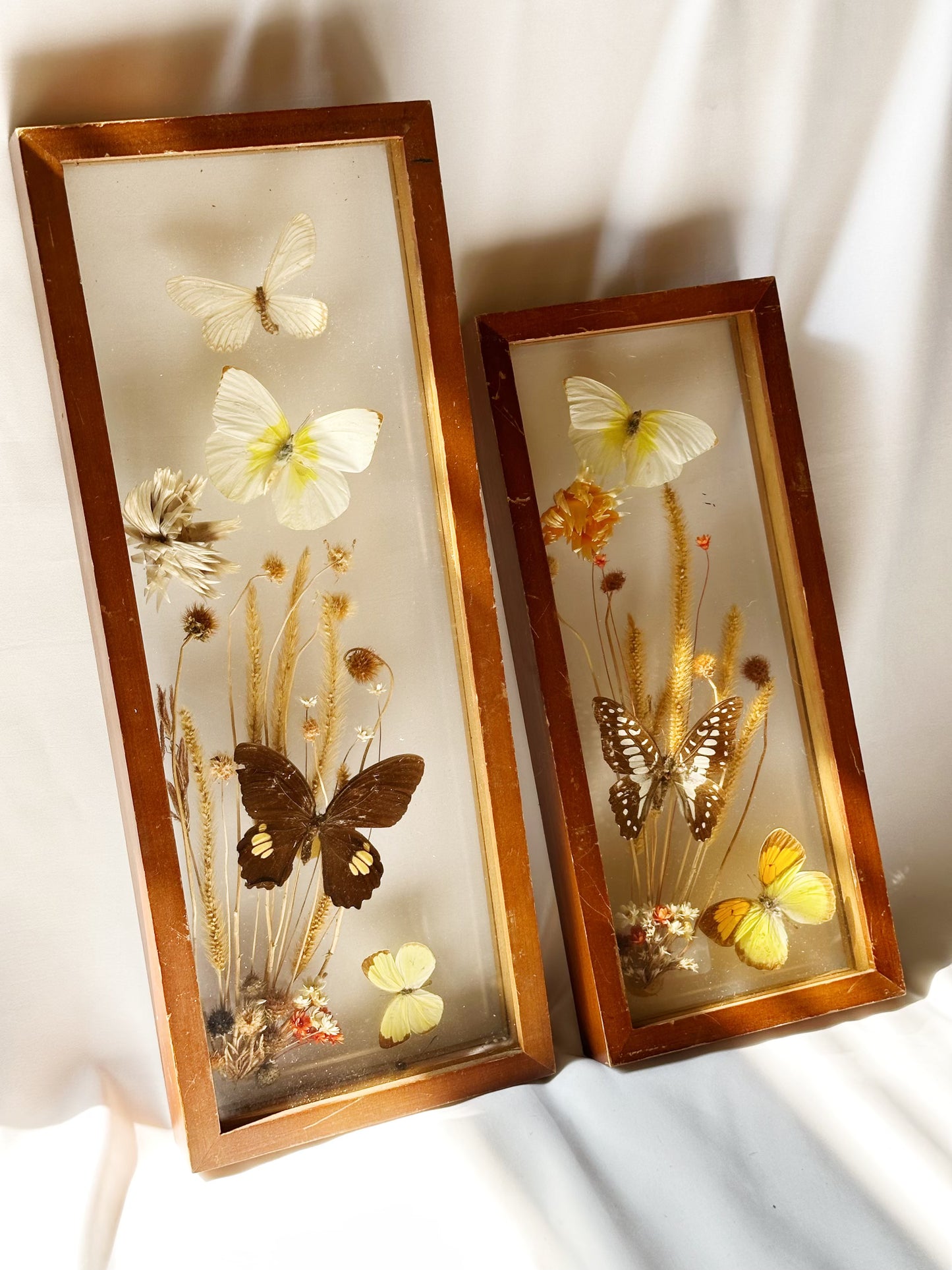 Pressed Butterfly Artwork