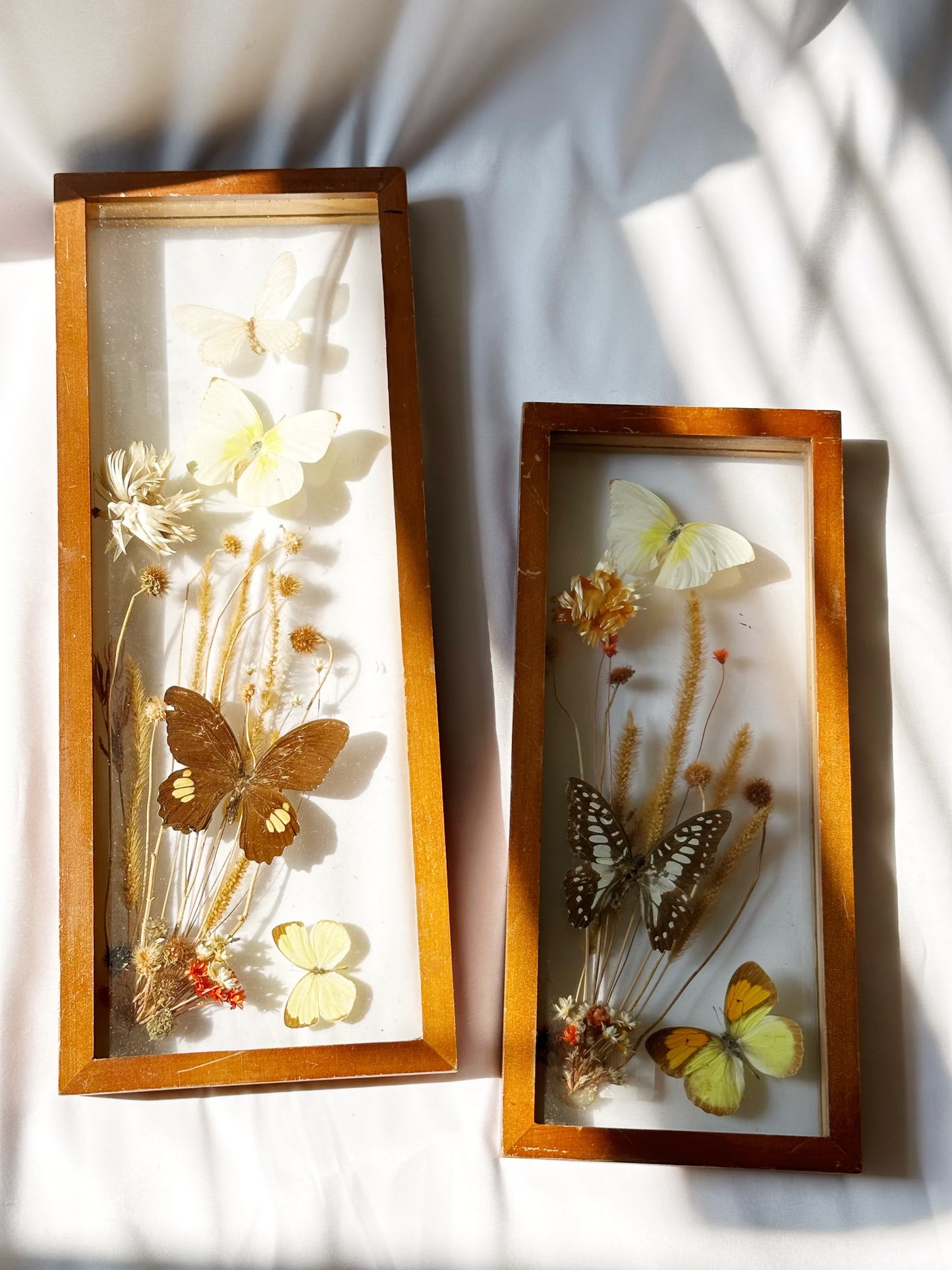 Pressed Butterfly Artwork