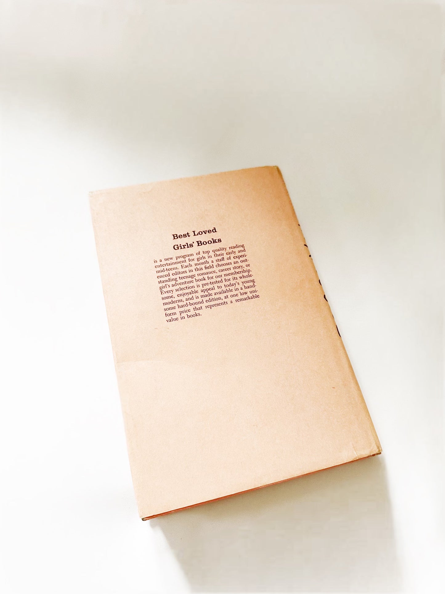The Amethyst Summer Book