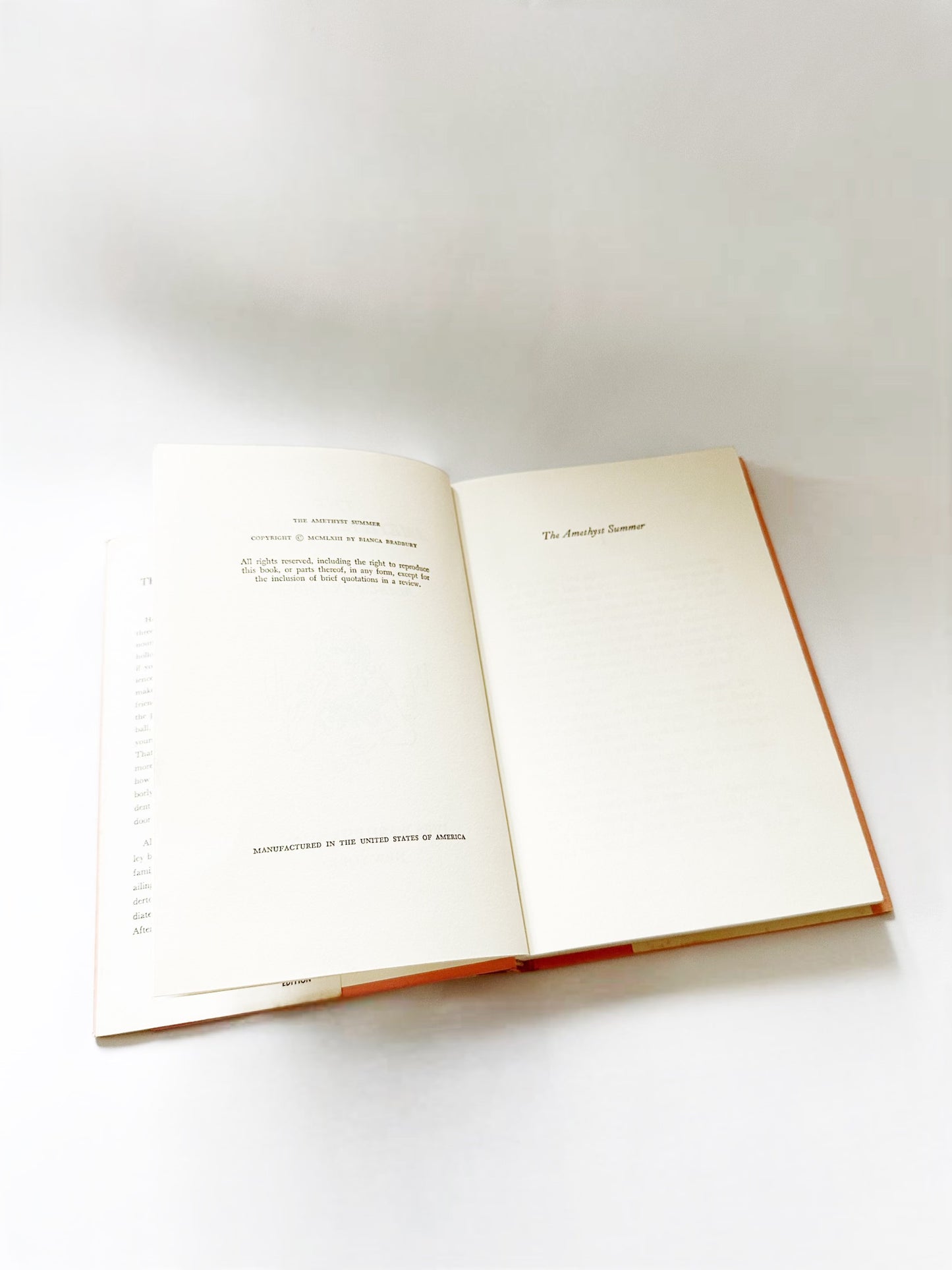 The Amethyst Summer Book