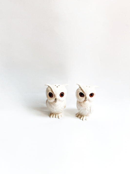 Owl Salt & Pepper Shakers