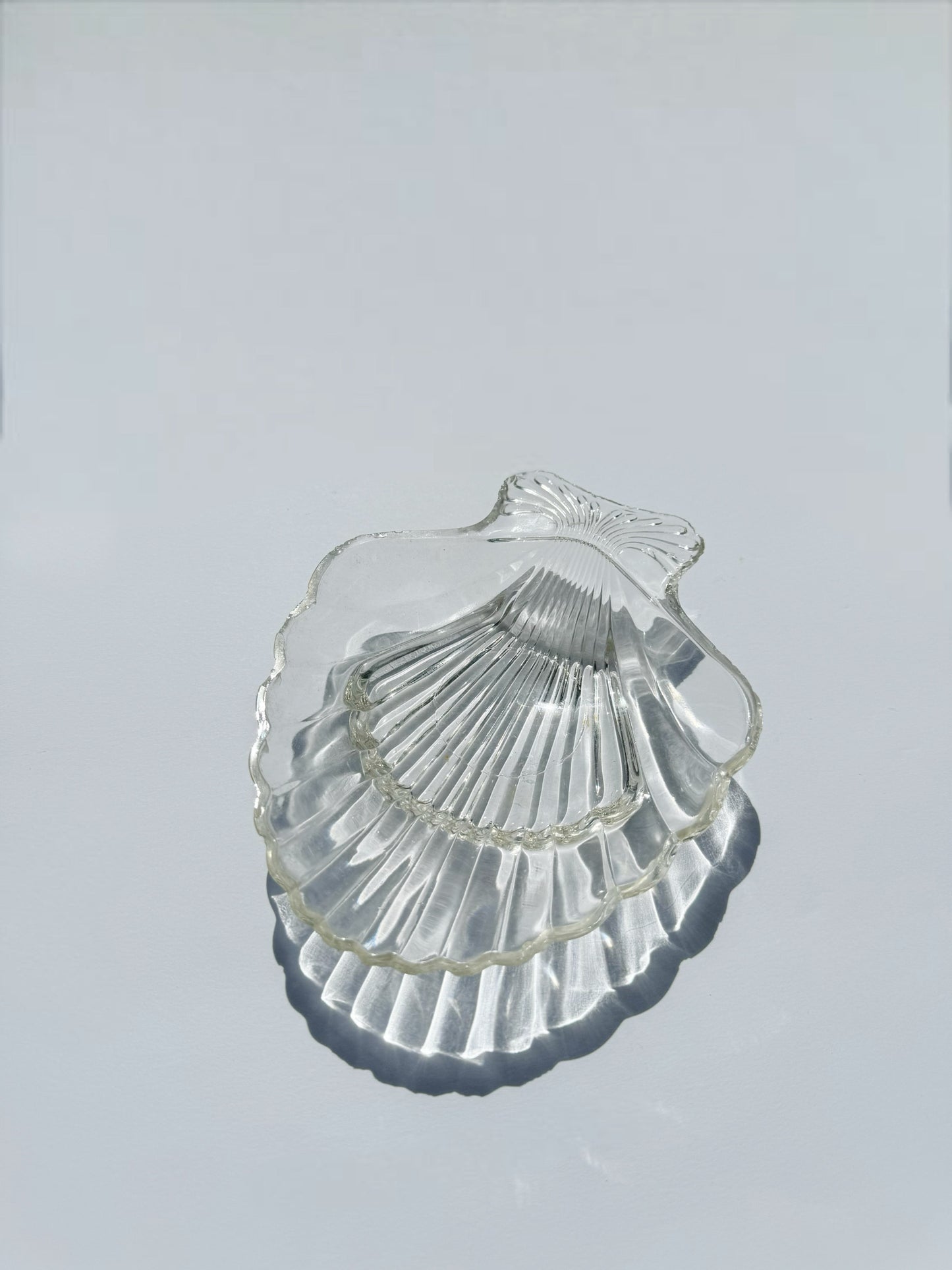 Glass Shell Dish