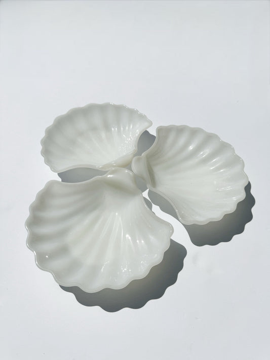 Shell Dish Set