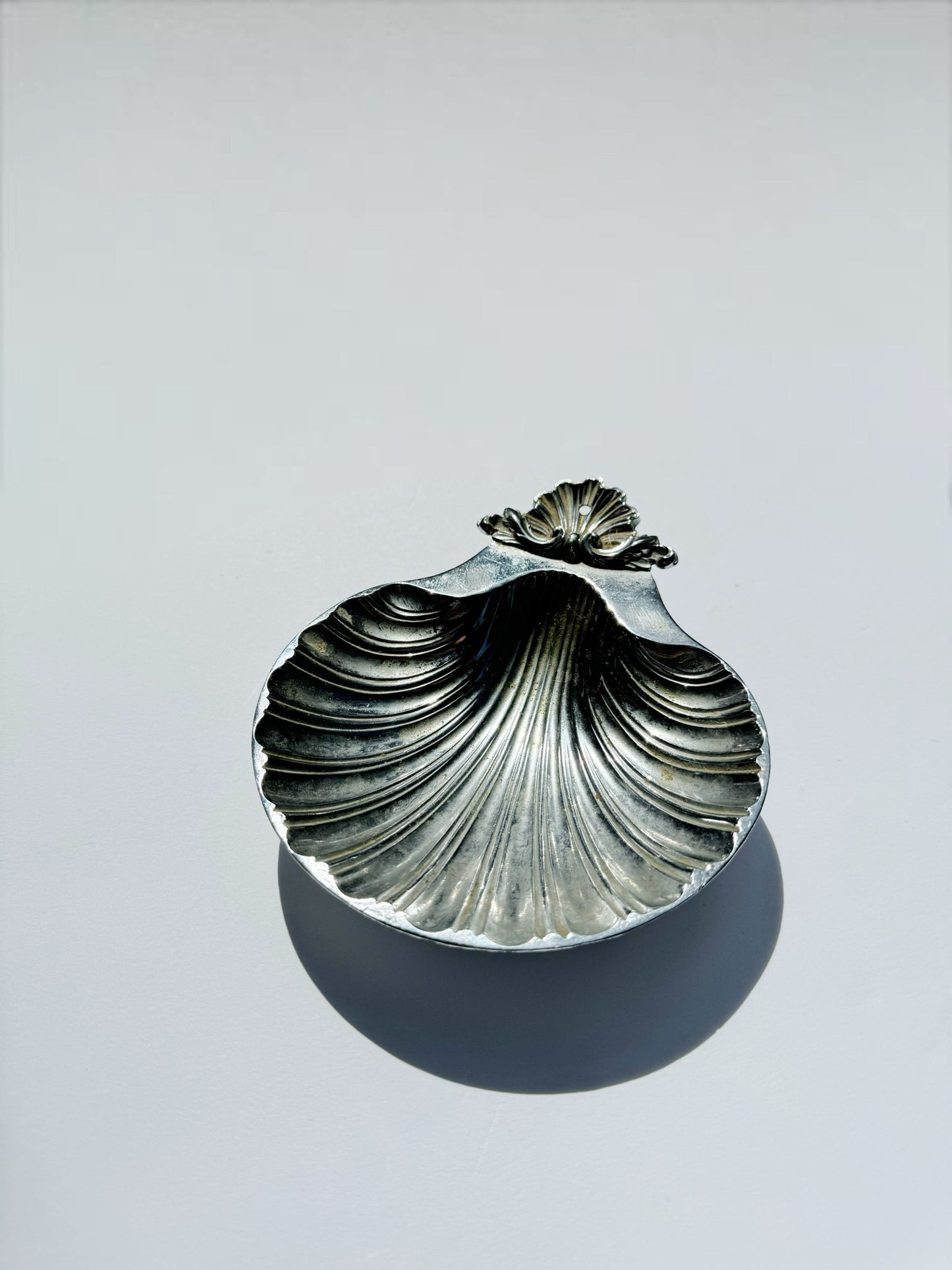 Shell Trinket Dish