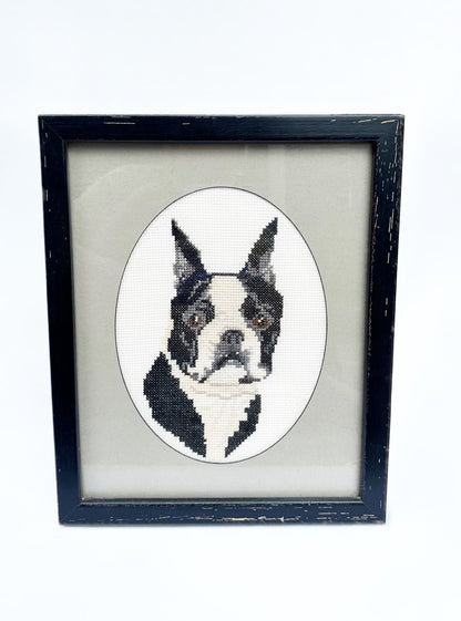 Small Boston Terrier Artwork