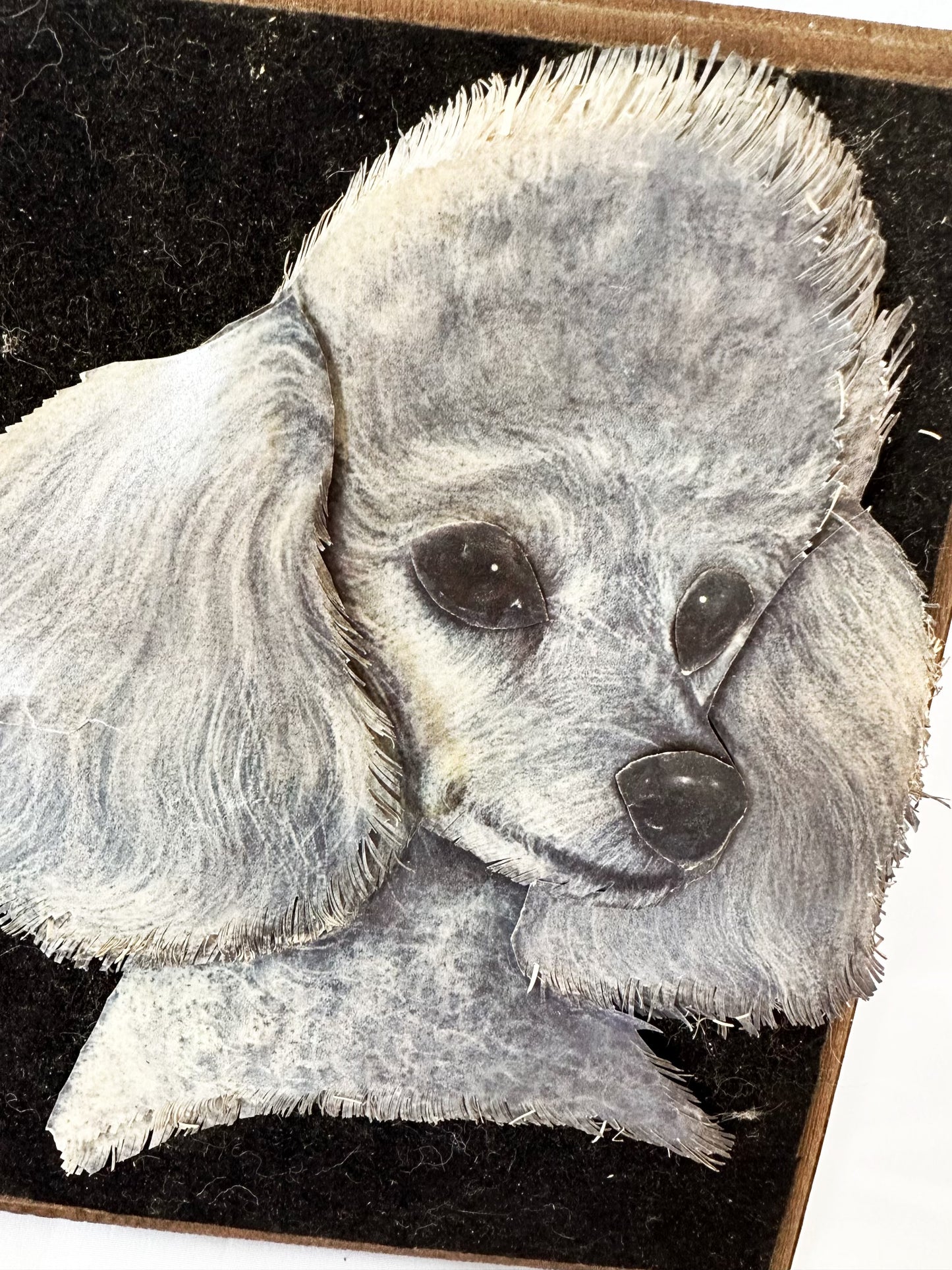 Poodle Art