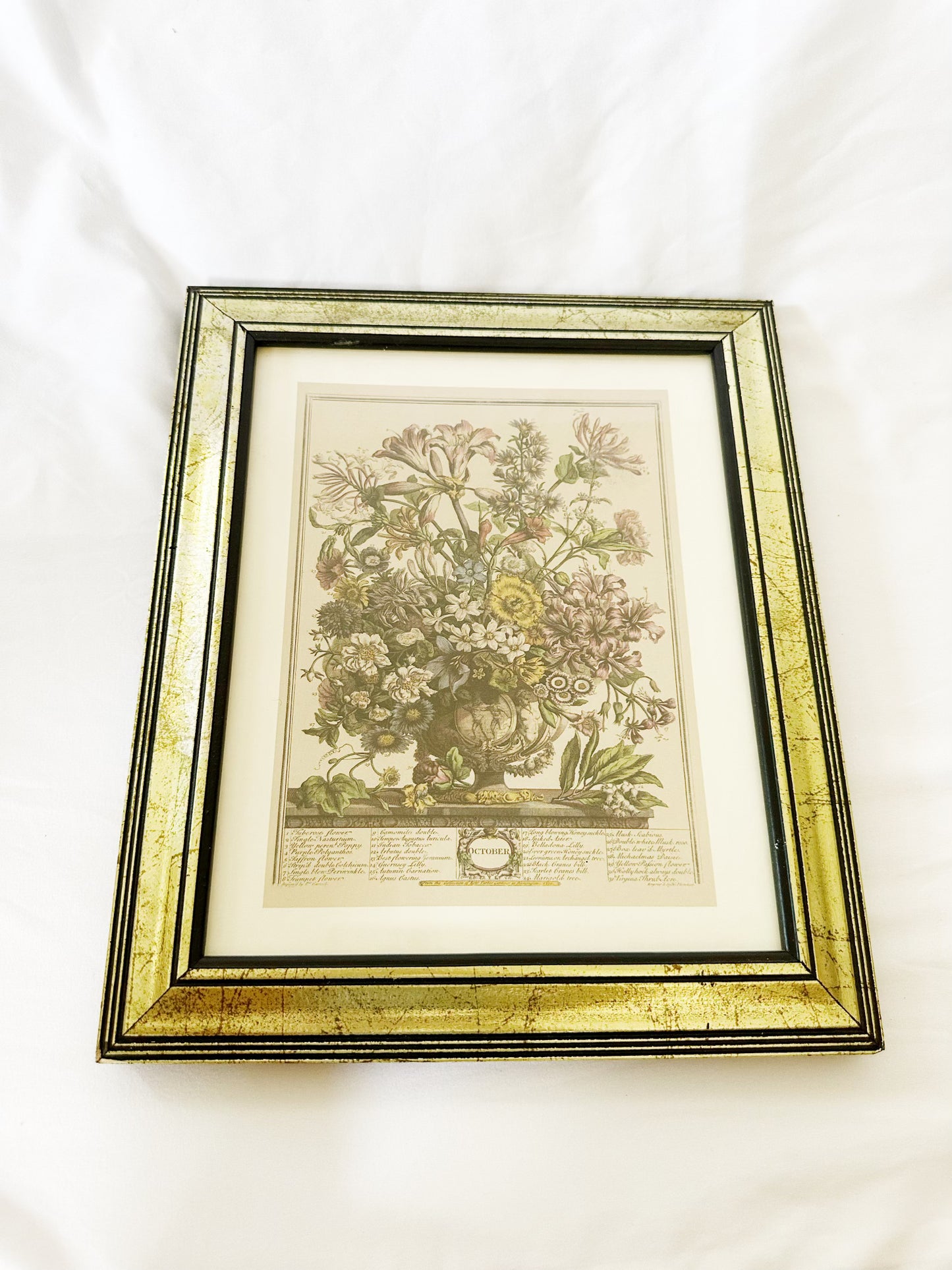 Framed Flower Print