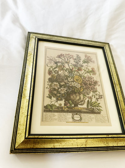 Framed Flower Print